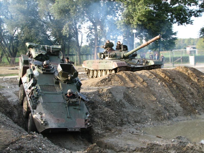 File:Valuk and T-55.jpg