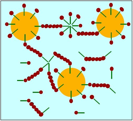 File:Assoc thickening.jpg