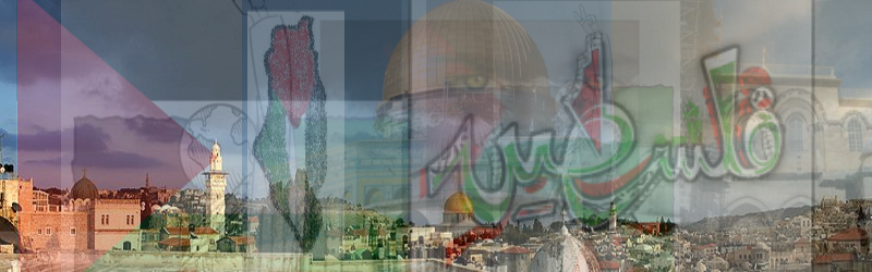 File:Banner of Palestine-Portal2.png