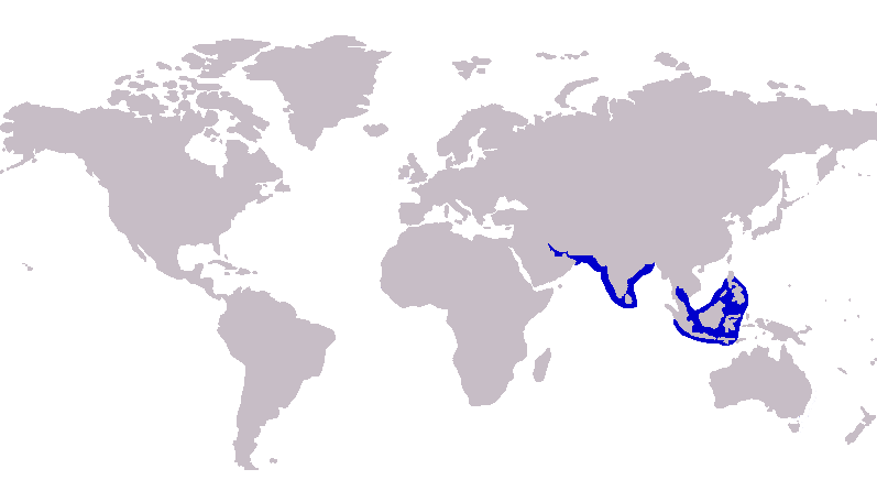 File:Carangoides praeustus distribution.PNG