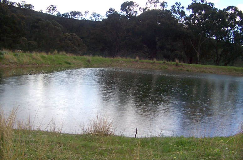 File:Earthen dam (2005).jpg