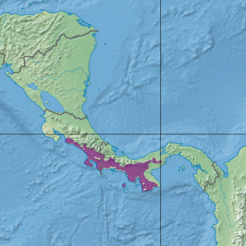 File:Ecoregion NT0130.png