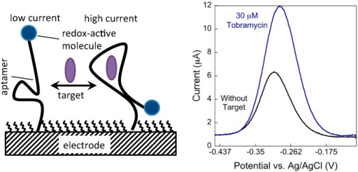 File:Electrochemical aptamer-based sensor.png