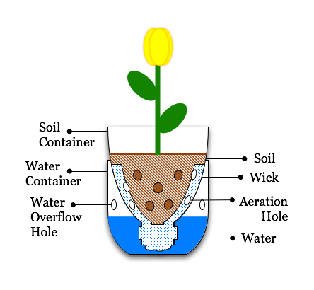 File:Illustration-Sub-Irrigated Planter from pop bottle.png