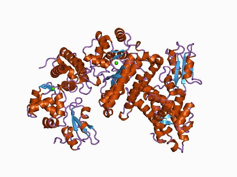 File:PDB 1b47 EBI.jpg