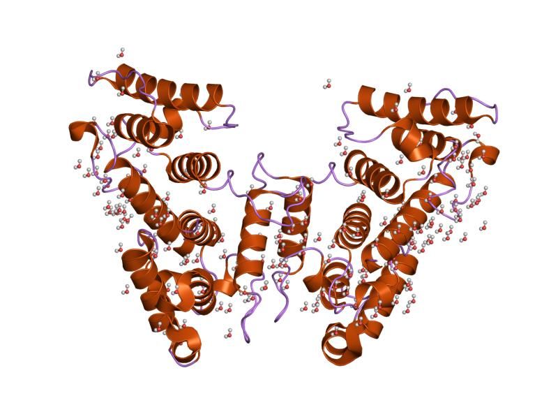 File:PDB 1sh5 EBI.jpg