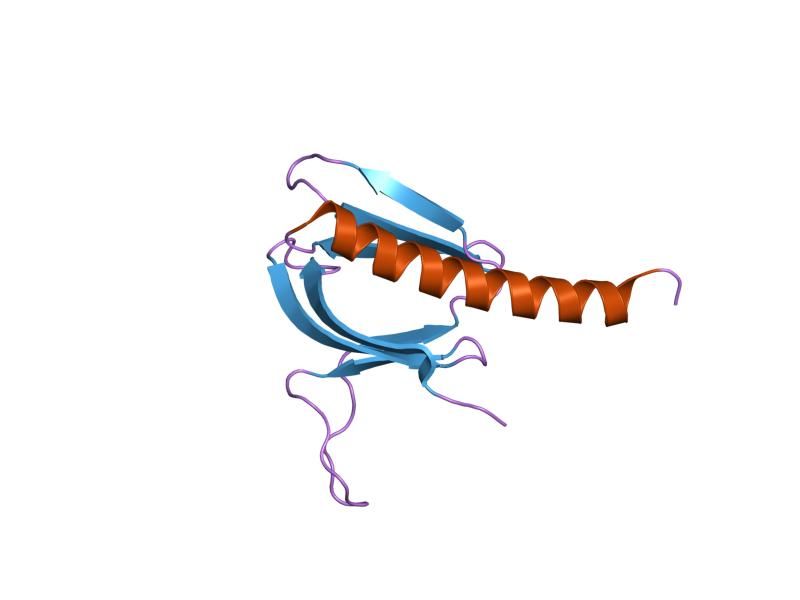 File:PDB 1unp EBI.jpg