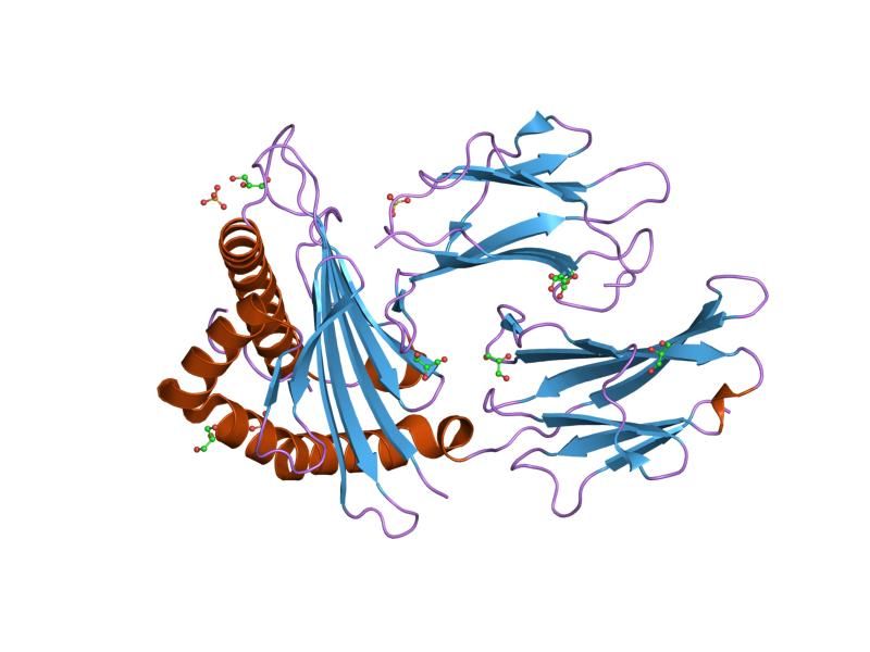 File:PDB 1x7q EBI.jpg