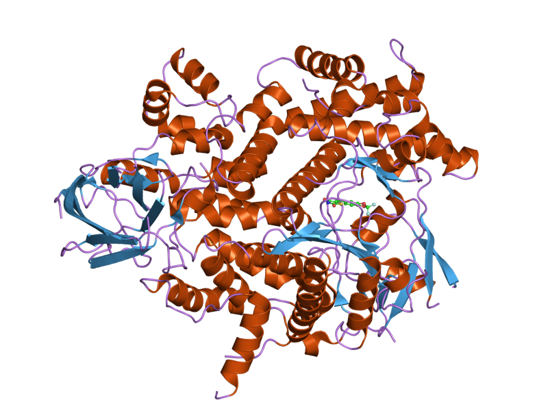 File:PDB 2a4z EBI.png