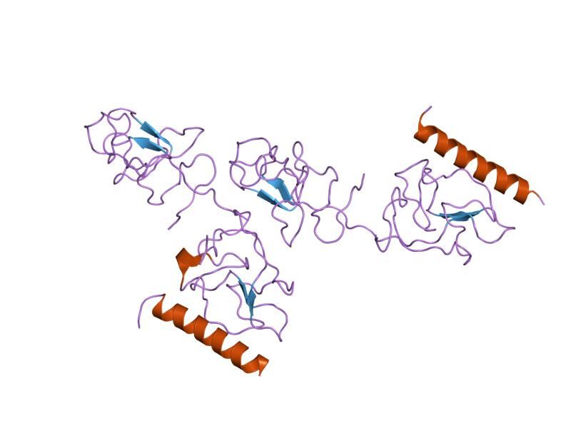 File:PDB 2doi EBI.jpg