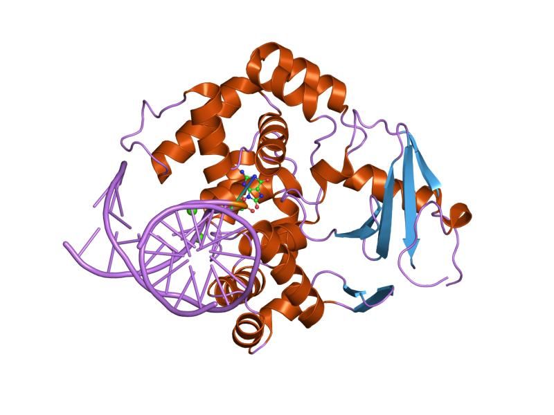 File:PDB 2noh EBI.jpg