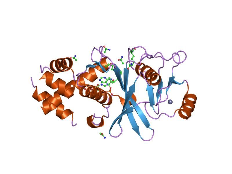 File:PDB 2ozu EBI.jpg