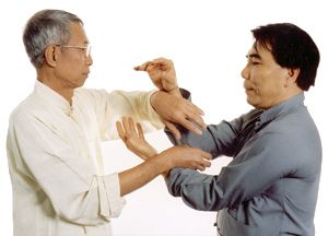 File:Sifu fung sigung tsui.jpg