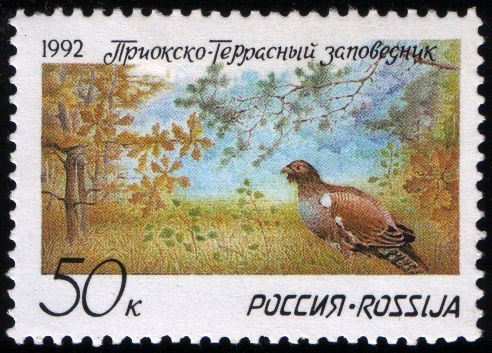 File:Stamp of Russia 9.jpg