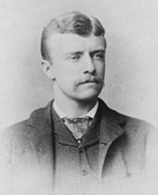 File:TR NY State Assemblyman 1883 crop.jpg