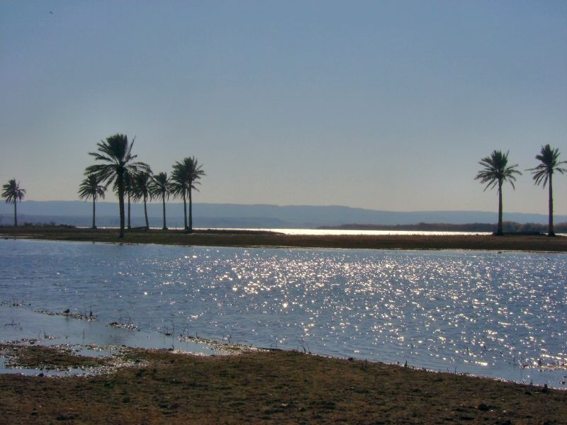 File:The Euphrates River-Iraq.jpg