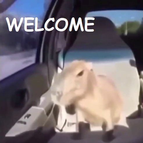 File:Welcome Capybara.png