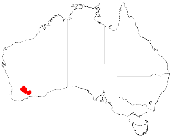 File:Acacia sedifoliaDistMap800.png