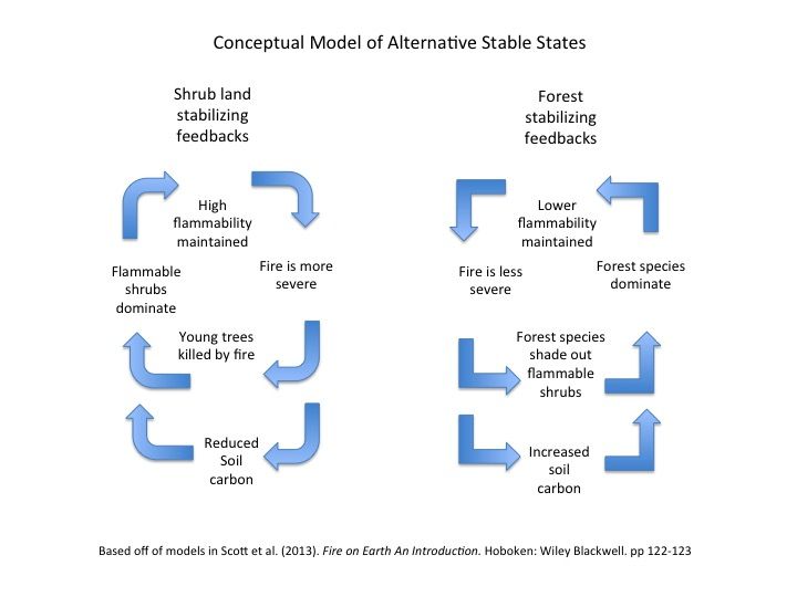 File:Alternative stable states.jpg