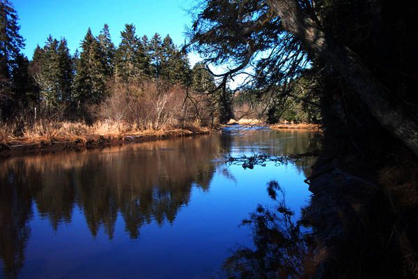 File:Bonshaw Park, PEI (84077273).jpg