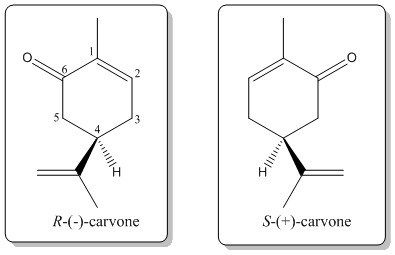 File:Carvone-enantiomers1.jpg