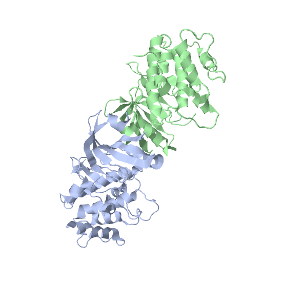 File:Crystall structure of the kinase gcn2.png