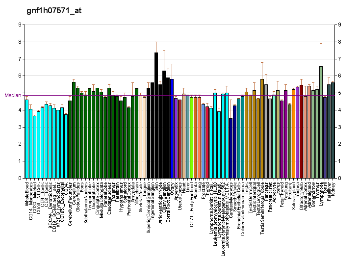 File:PBB GE OR10AD1 gnf1h07571 at fs.png