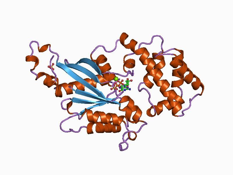 File:PDB 1bof EBI.jpg