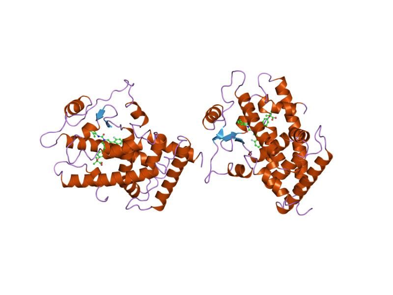 File:PDB 1gwx EBI.jpg