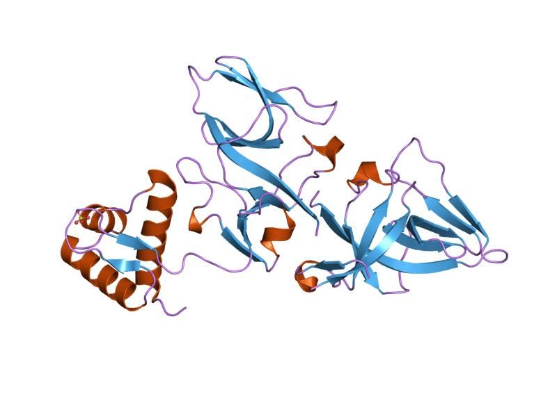 File:PDB 1jhh EBI.jpg