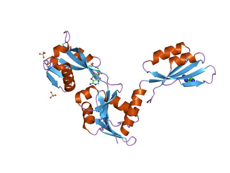 File:PDB 1nh8 EBI.jpg