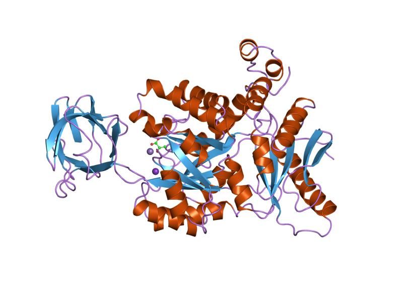 File:PDB 1pkn EBI.jpg