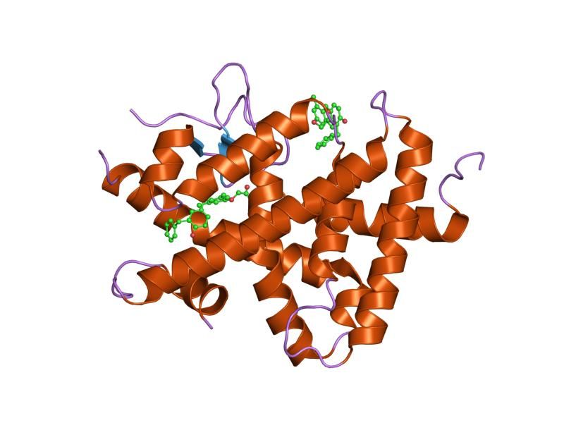 File:PDB 1q4x EBI.jpg