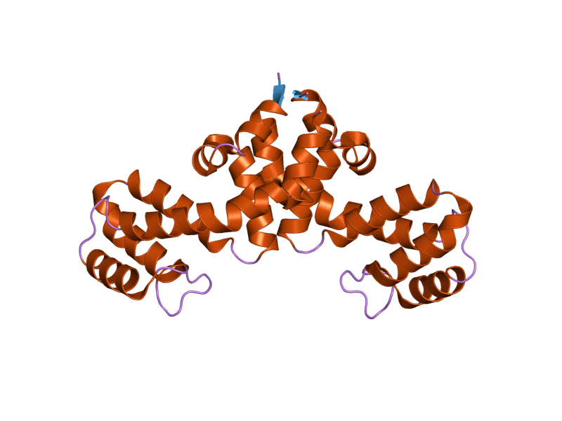 File:PDB 2bv1 EBI.png