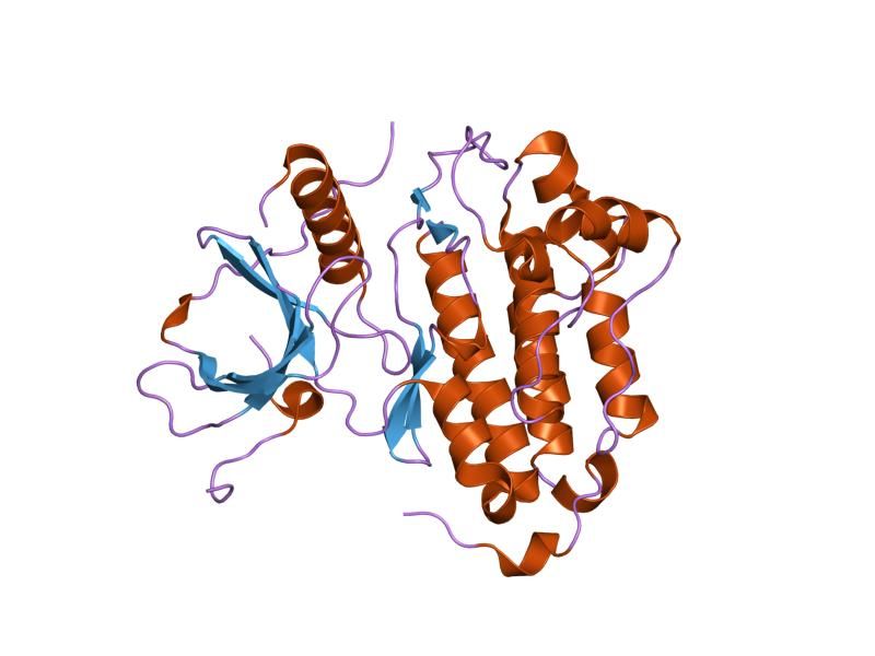 File:PDB 2gs2 EBI.jpg