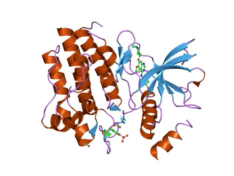 File:PDB 2ivu EBI.png