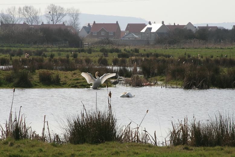 File:Portbury Ashlands - geograph 1785019 3f83eb45.jpg