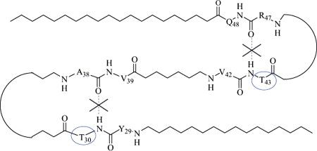 File:Rantes-beta-sheet.jpg