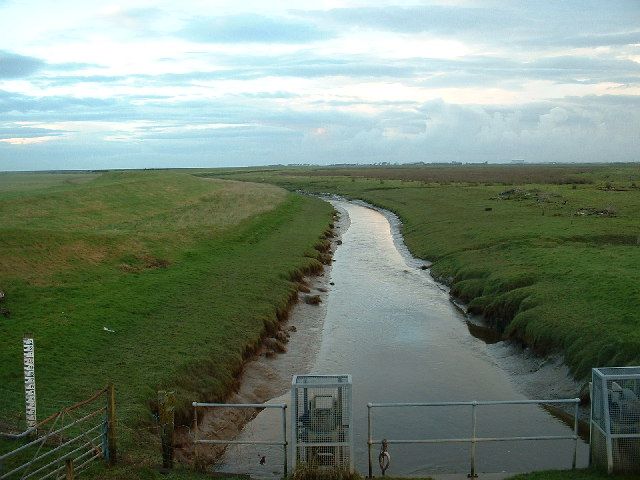 File:River Cocker - geograph.org.uk - 87282.jpg