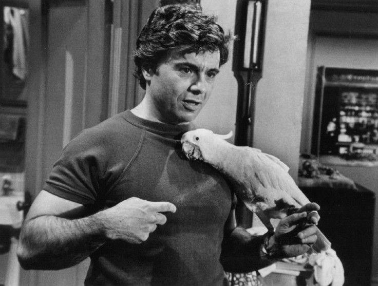 File:Robert Blake Baretta and Fred 1976.JPG