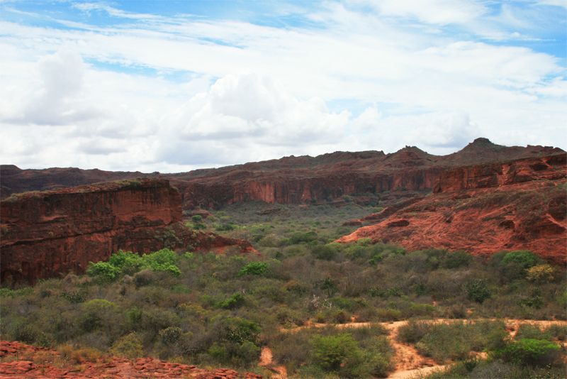 File:Sandstone cliffs -Bahia - Brazil-17Dec2007a.jpg