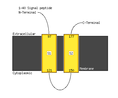 File:Topolog.png