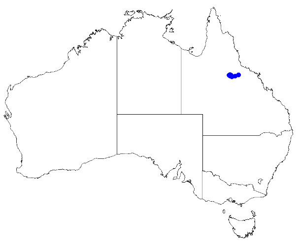 File:Boronia warangensis DistMap129.png