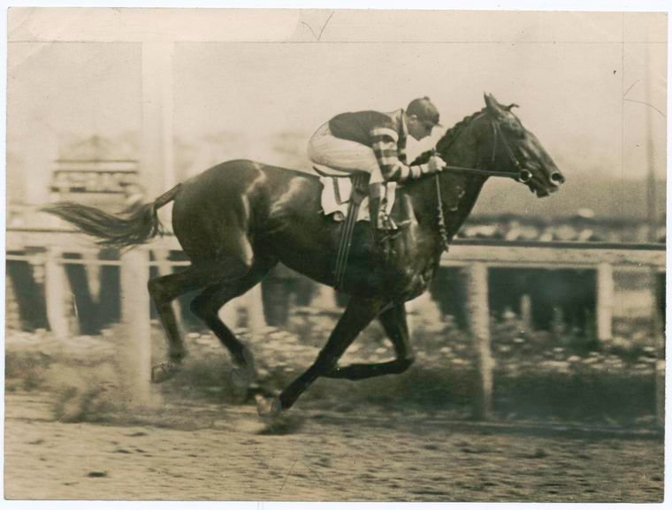 File:Man o' War 1920 from nypl.jpg