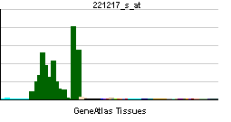 File:PBB GE A2BP1 221217 s at tn.png