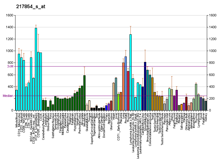 File:PBB GE POLR2E 217854 s at fs.png