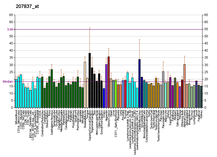 File:PBB GE RBPMS 207837 at fs.png