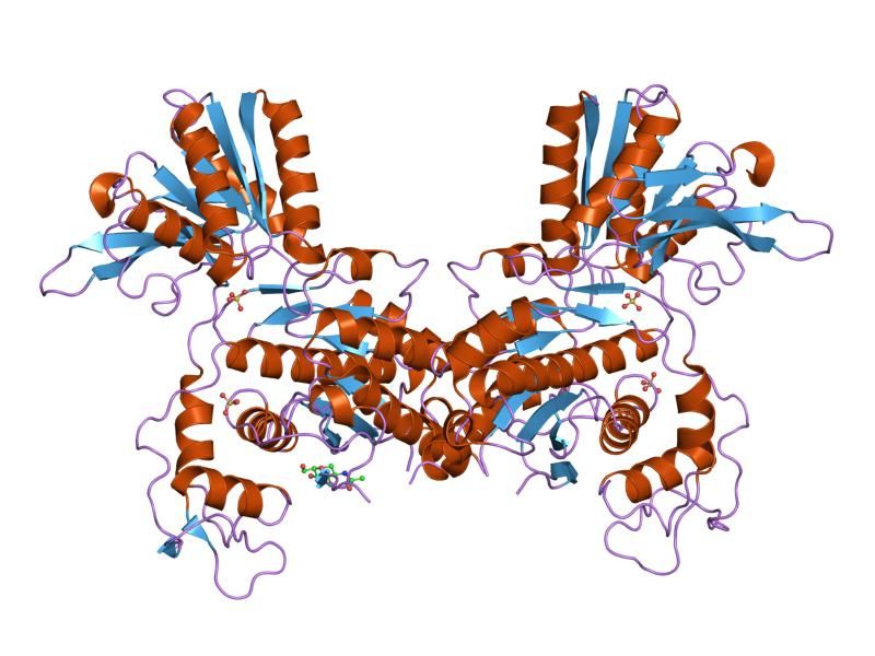 File:PDB 1ewt EBI.jpg