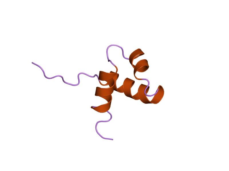 File:PDB 1idy EBI.jpg