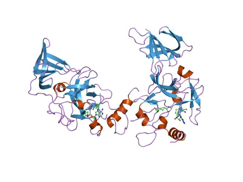 File:PDB 1o9s EBI.jpg